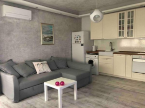Cozy and modern apartment Krasno selo, free parking